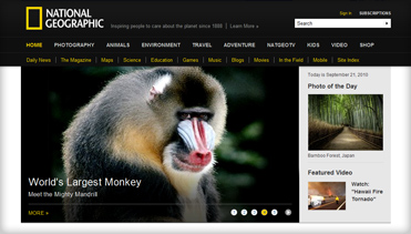 艾皇手机号测压